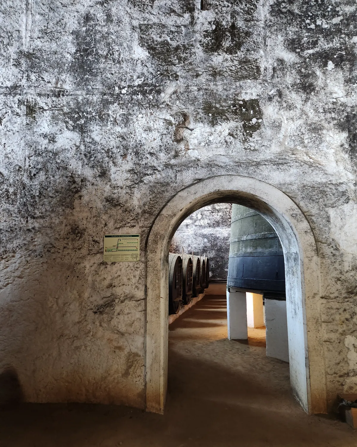 Inside the cellars at Cockburn’s